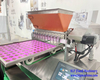 Small Vitamin Gummy Bears Making Machine Jelly Candy Beans Making Machine